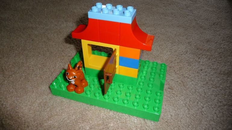 ТН Домашние питомцы -День 1 - КОШКА И МЫШКИ