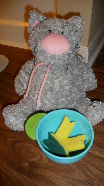 ТН Домашние питомцы -День 1 - КОШКА И МЫШКИ