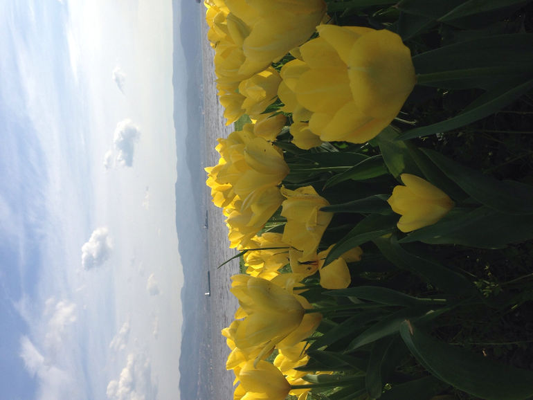 Весна пришла,весне дорогу)))