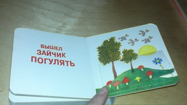 Маленькие картонные книжки