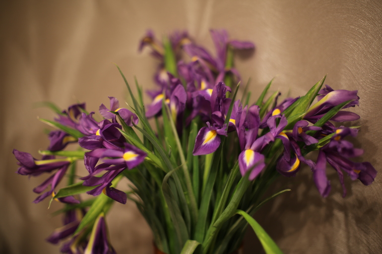 Цветулечки