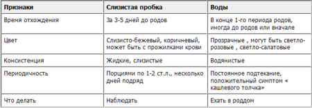 Родионова Лариса Михайловна - 7 отзывов Воронеж Родильное отделение при Щелковской Районной больнице. - Дети