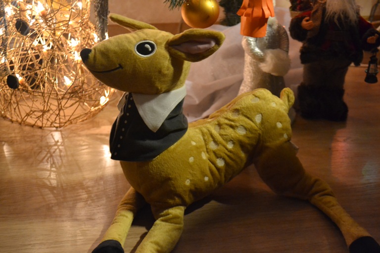 Солнечное яйцо