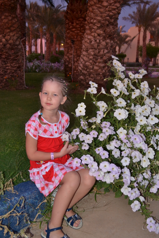 Египет 2014