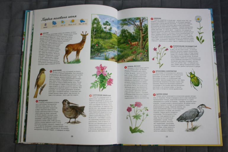 Дневник читателя - Леля - 4 года 6 месяцев - Май 2014