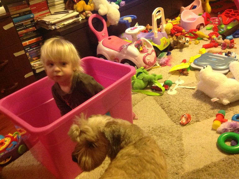 Наш свинарничек