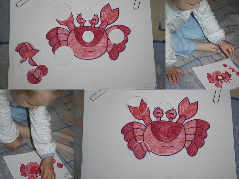 Обитатели морей и океанов.  День 5.