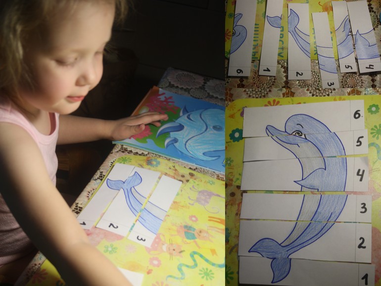 Обитатели морей и океанов. День 4.