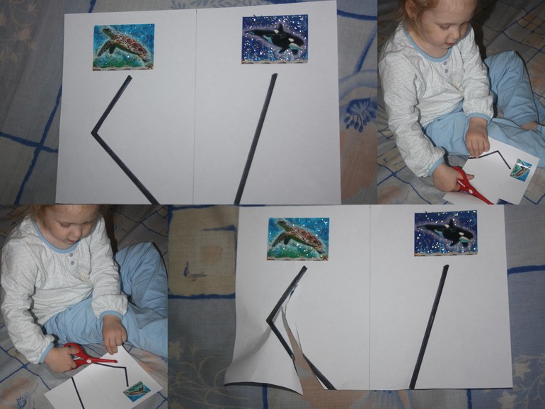 Обитатели морей и океанов.  День 5.