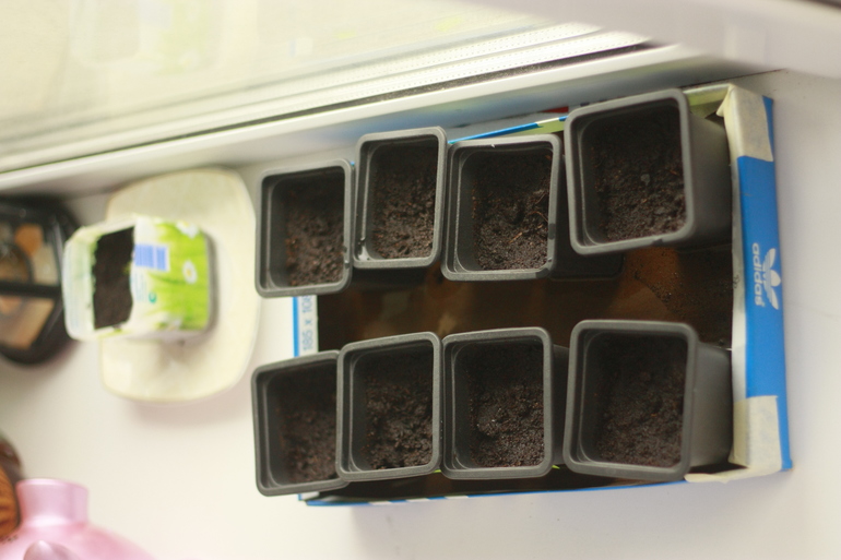 Немного всячины на подоконнике)