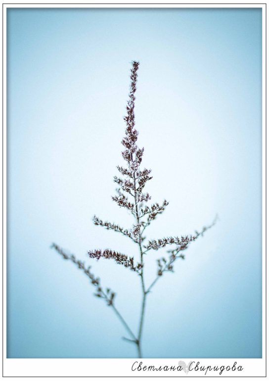 У нас тоже мороз)))