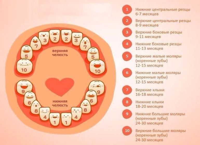 Первые зубы у ребенка понос Первые зубы у ребенка понос