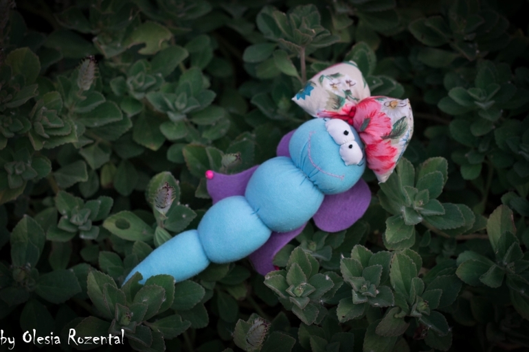 Куколки ищут дом