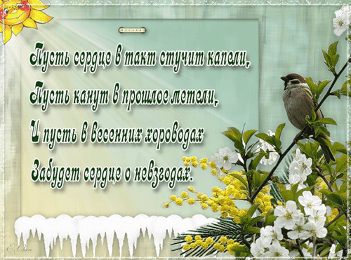 Девочки с 8 Марта!!!!!!!!!!!!!