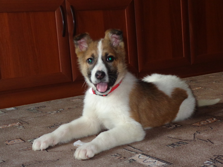 Мы её взяли!!!