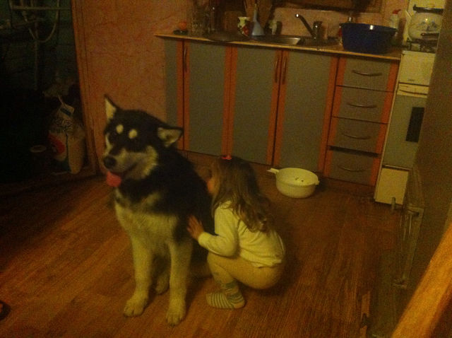 Фотоотчет с Киева!!!