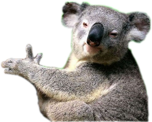 Контрольное задание № 2 "Вырезаем объект"