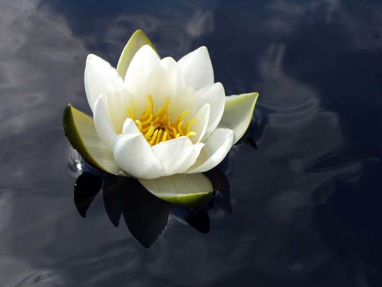 КЗ № 10. Использование быстрой и обтравочной масок