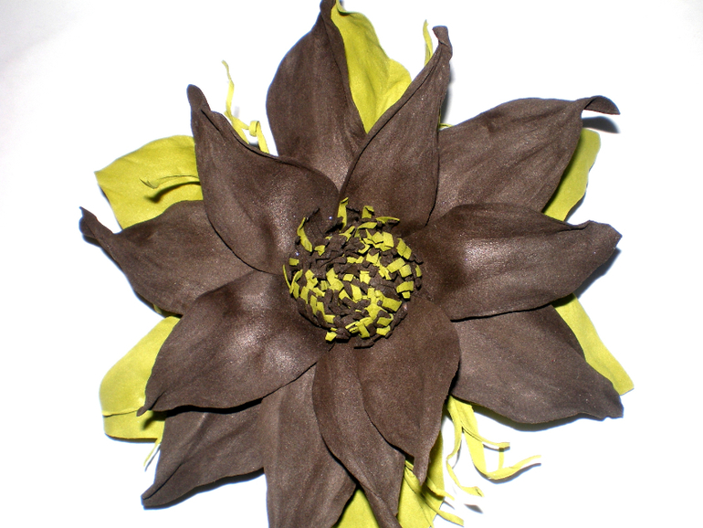 мои фомочки))