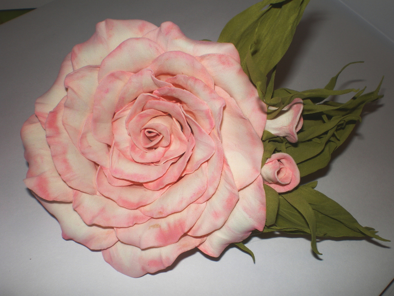 мои фомочки))