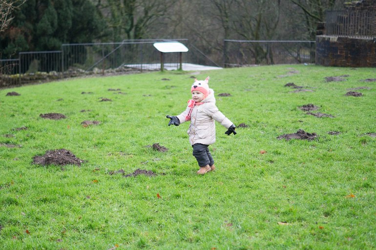 Зимние каникулы