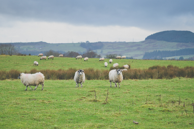 Зимние каникулы