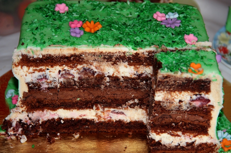 Даша-путешественица