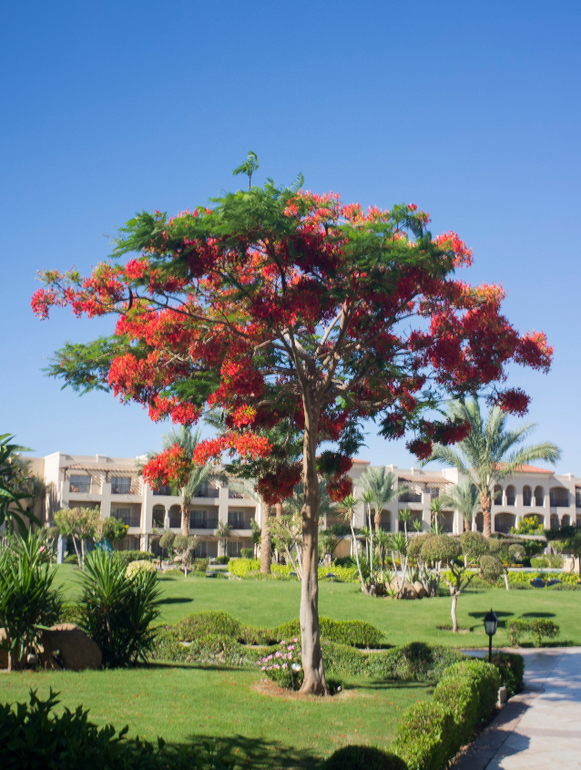 А мы слетали в Египет!