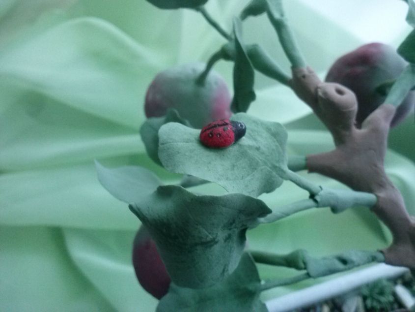 Бонсай "Яблочный вкус"