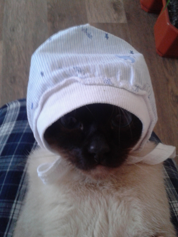 Как развлекается будуущая мама)))