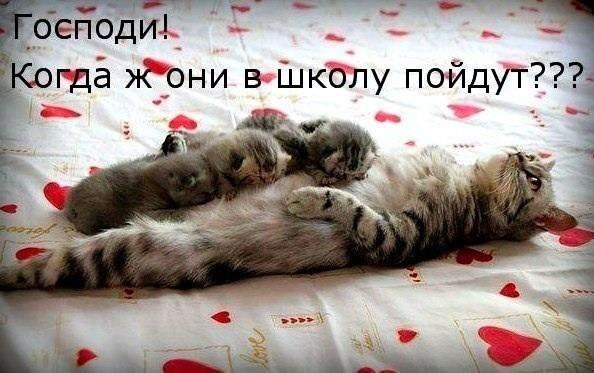 улыбнуло))