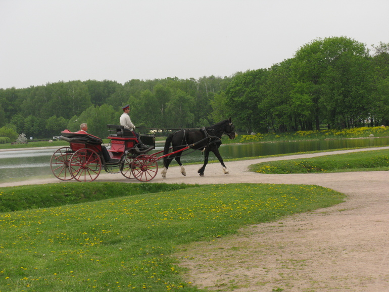 И еще немного Кусково.