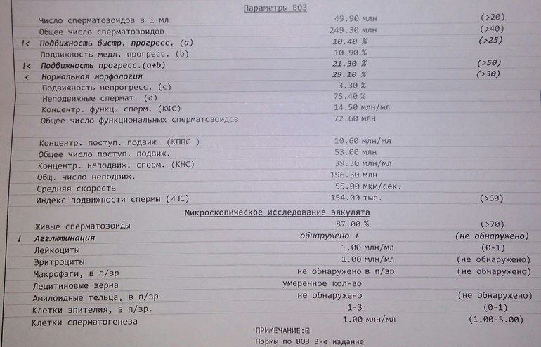 Что говорит базальная температура Что говорит базальная температура
