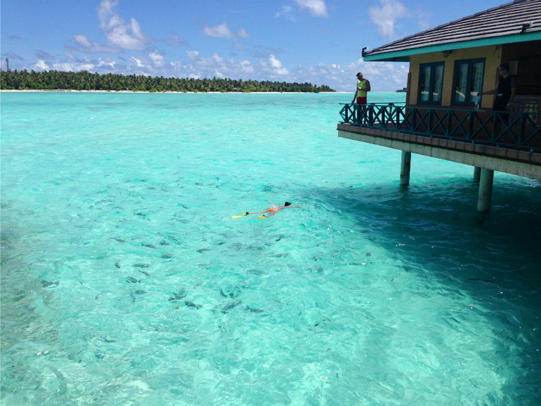 Отпуск - Мальдивы (фото)