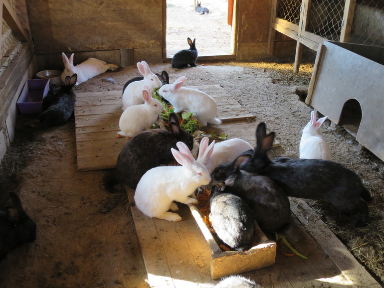 Выходные и не только часть 1