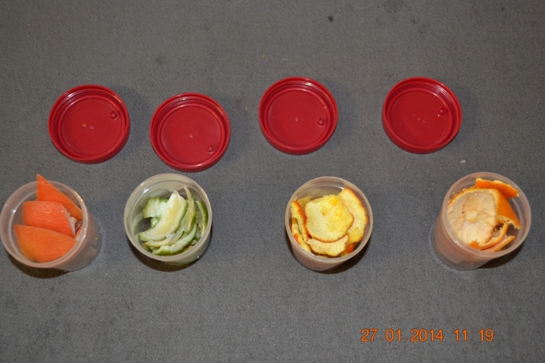 Мы делили апельсин ТЗ