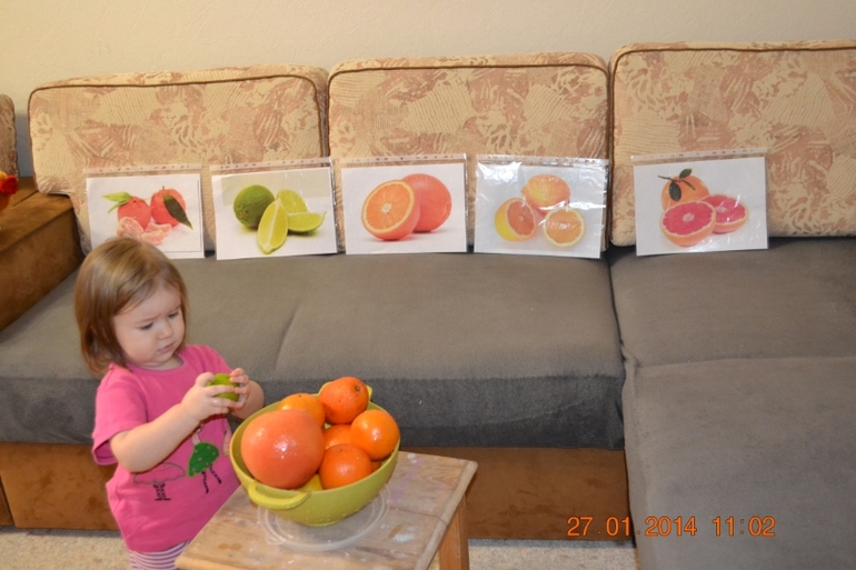 Мы делили апельсин ТЗ