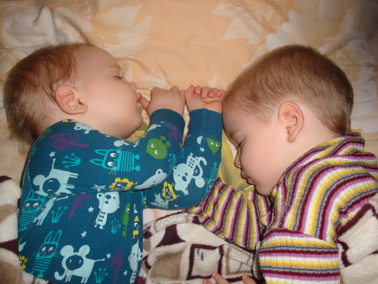 спят мои лапульки:)