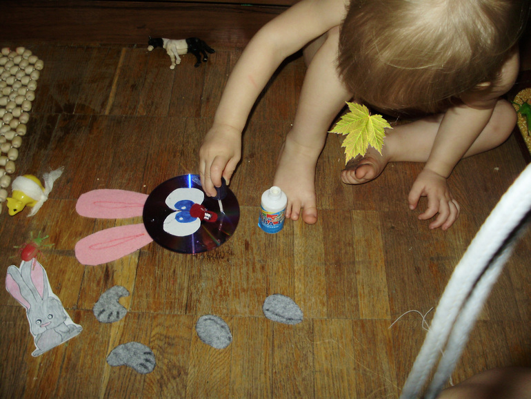 По следам Айболита