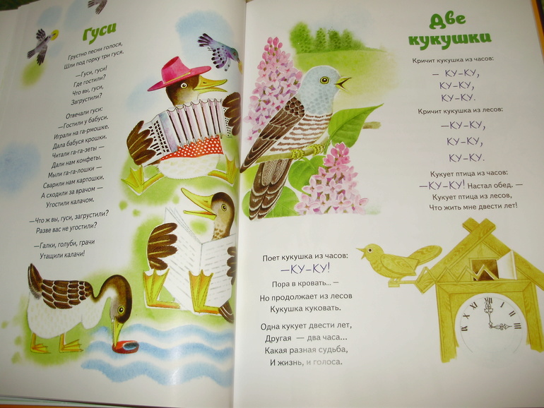 Зимние книги и другие новинки декабря