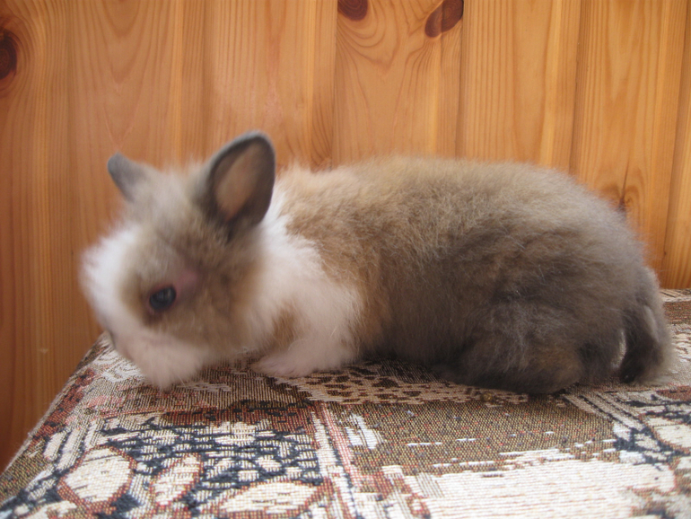 Прибавление!!!