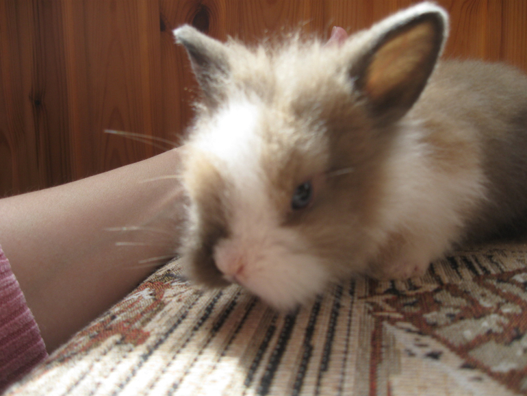 Прибавление!!!