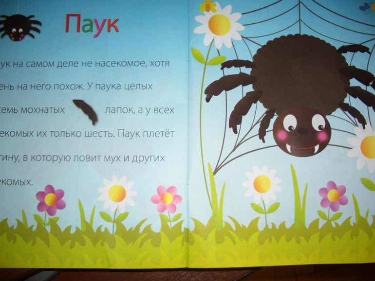 ТЗ "На балу у сверчка"