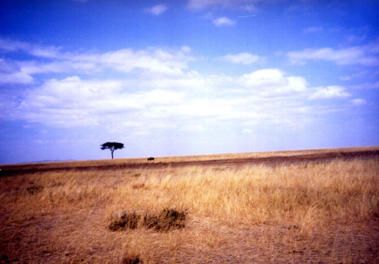 Контрольное задание № 25. "Выравниваем линию горизонта"