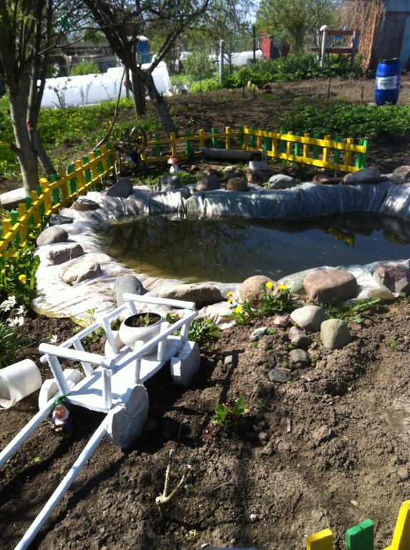 Чем чистить пруд?