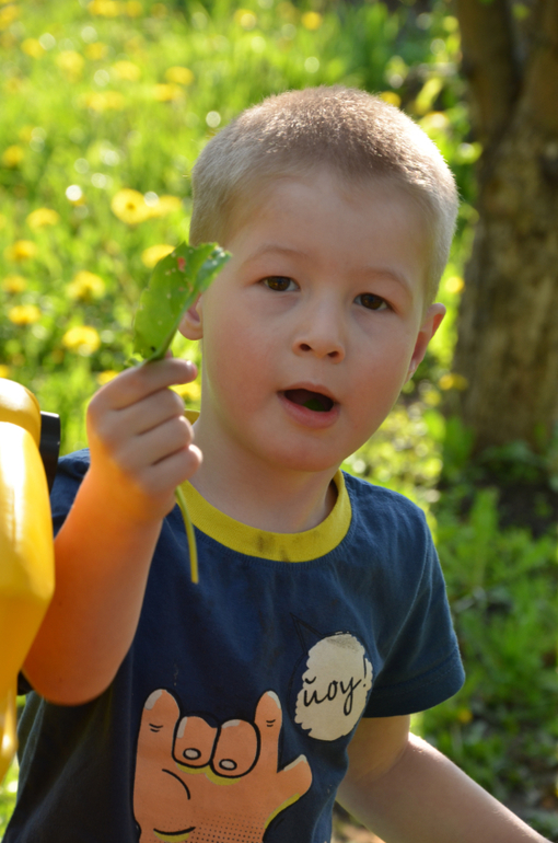 мы в деревне