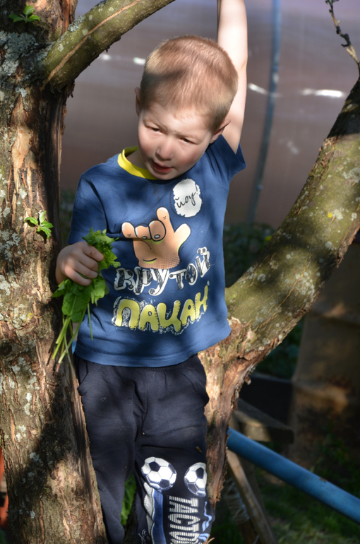 мы в деревне