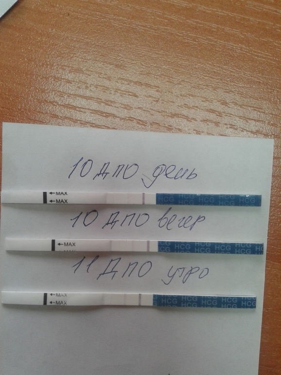 Тест на 12 дпо днем Тест на 12 дпо днем