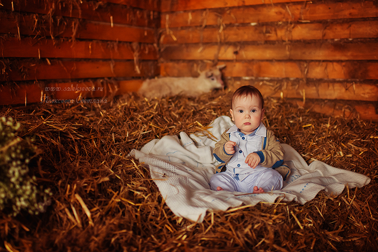 Утятки и козлятки)