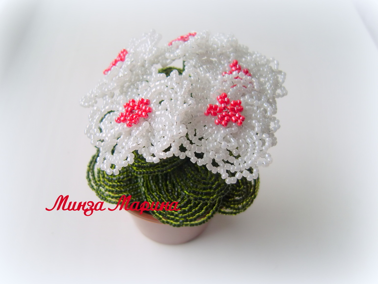 Белые фиалки